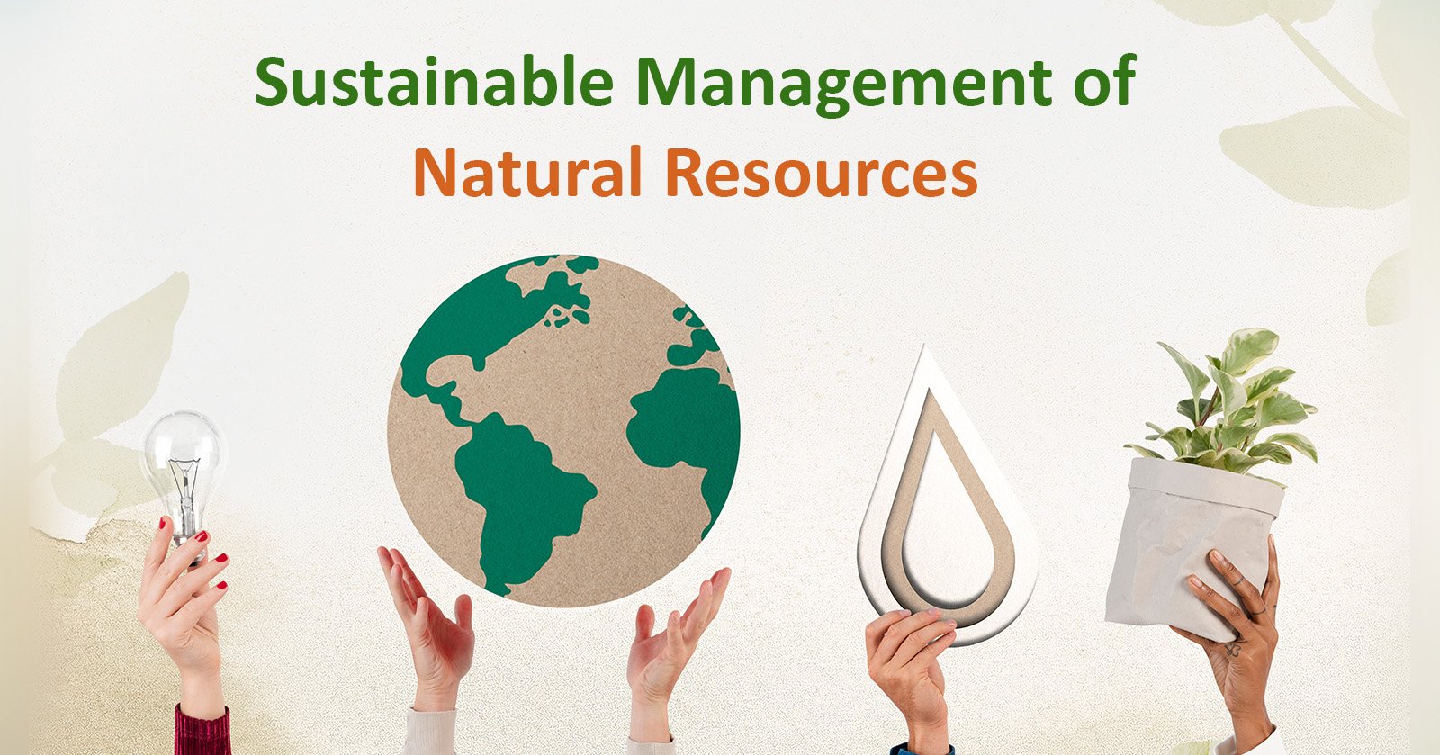 Sustainable Management