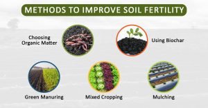 Soil Fertility