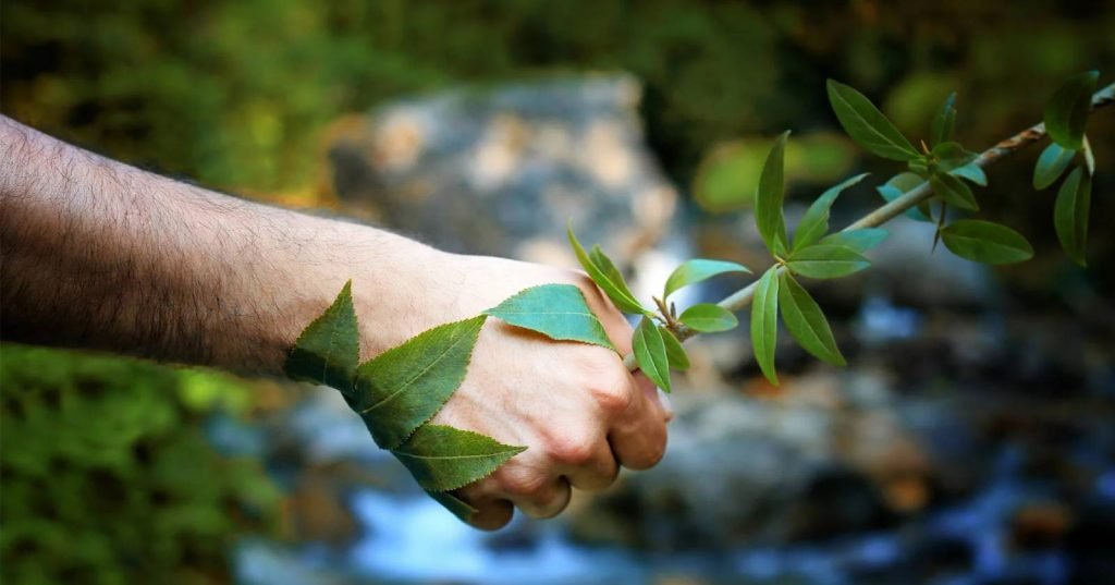 Live Sustainably: Achieving a Sustainable Future