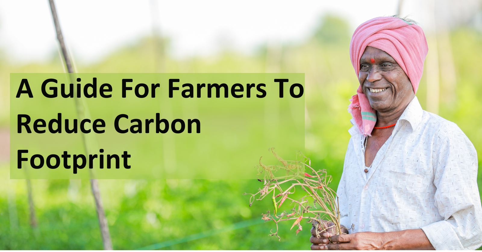 Reduce carbon footprint