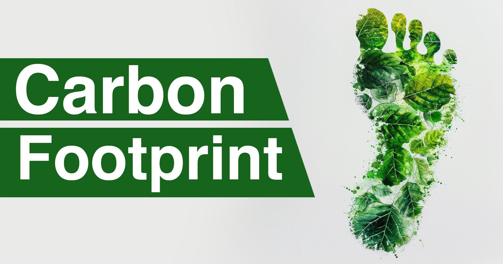 Carbon footprint