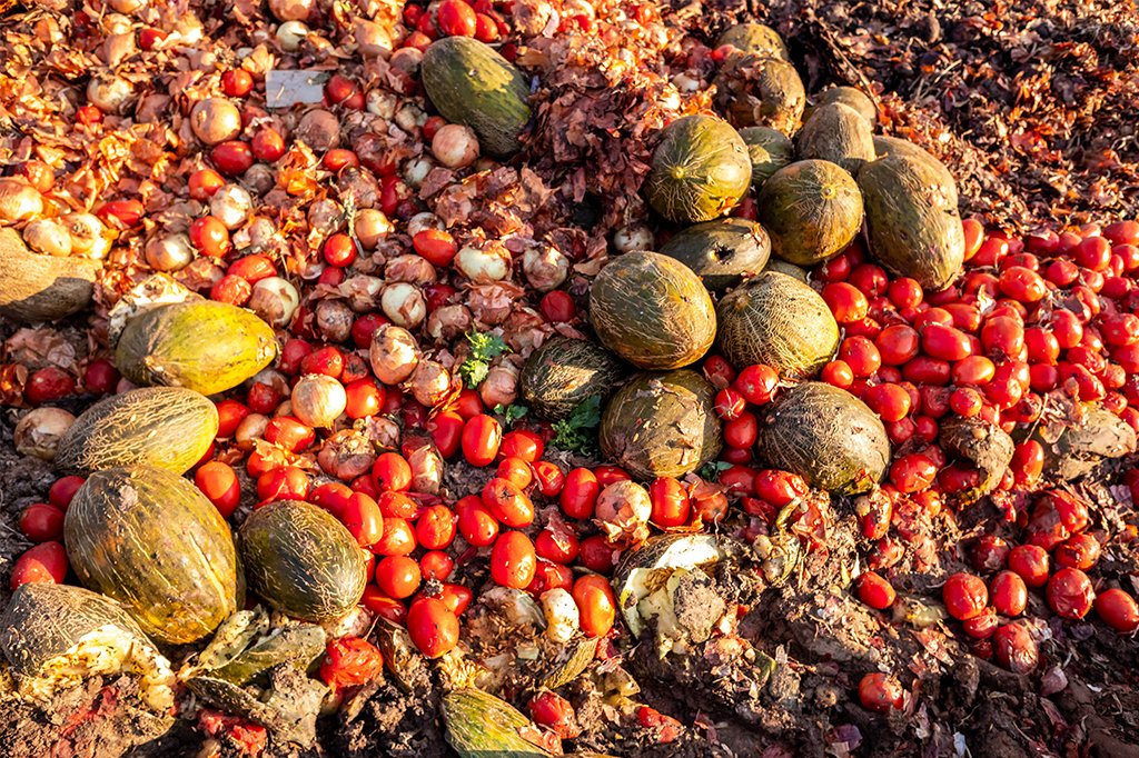 Food Waste
