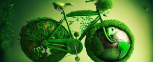 Live Sustainably