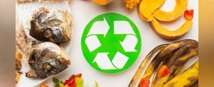 Live Sustainably