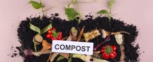 Biodegradable waste