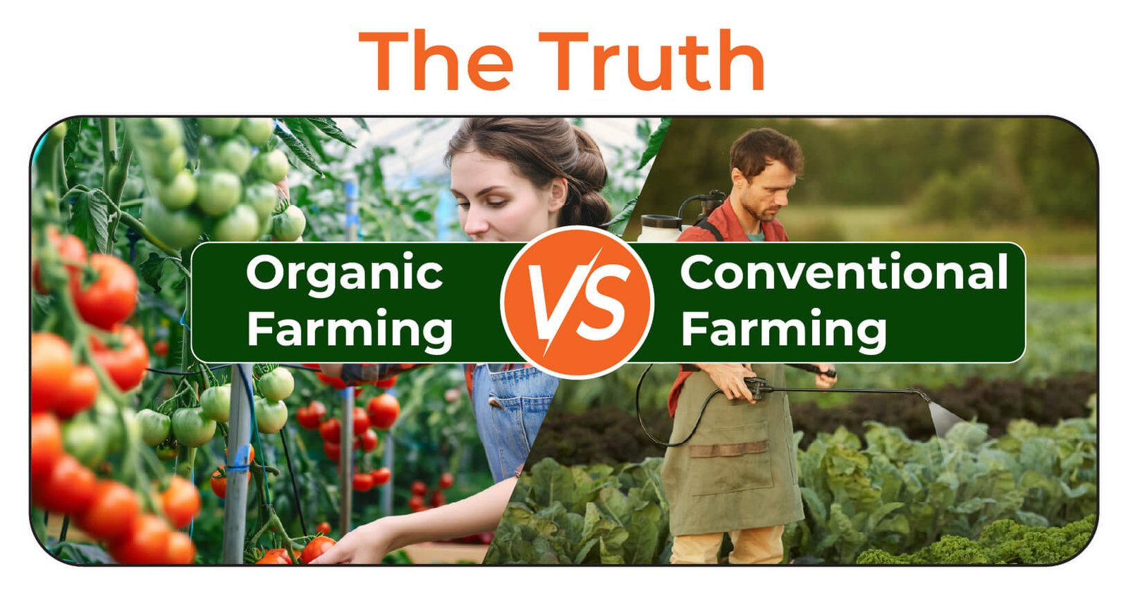 Organic vs Conventional The Truth