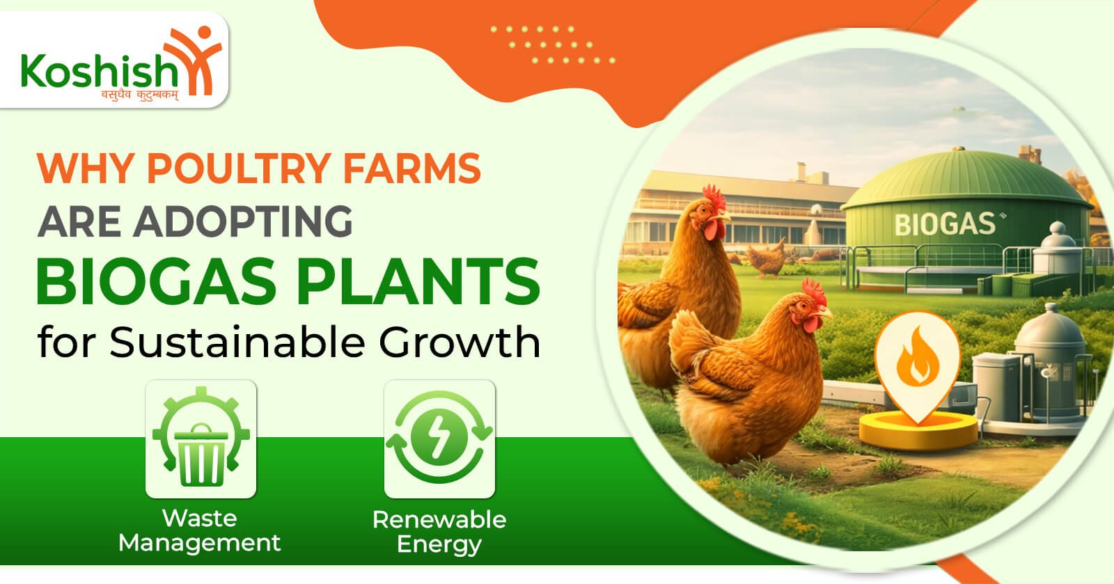 Poultry Biogas Plants
