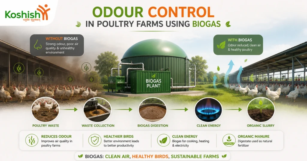 Poultry Farm Odour Control Using Commercial Biogas Plant