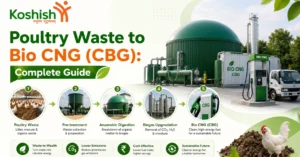 Poultry Waste